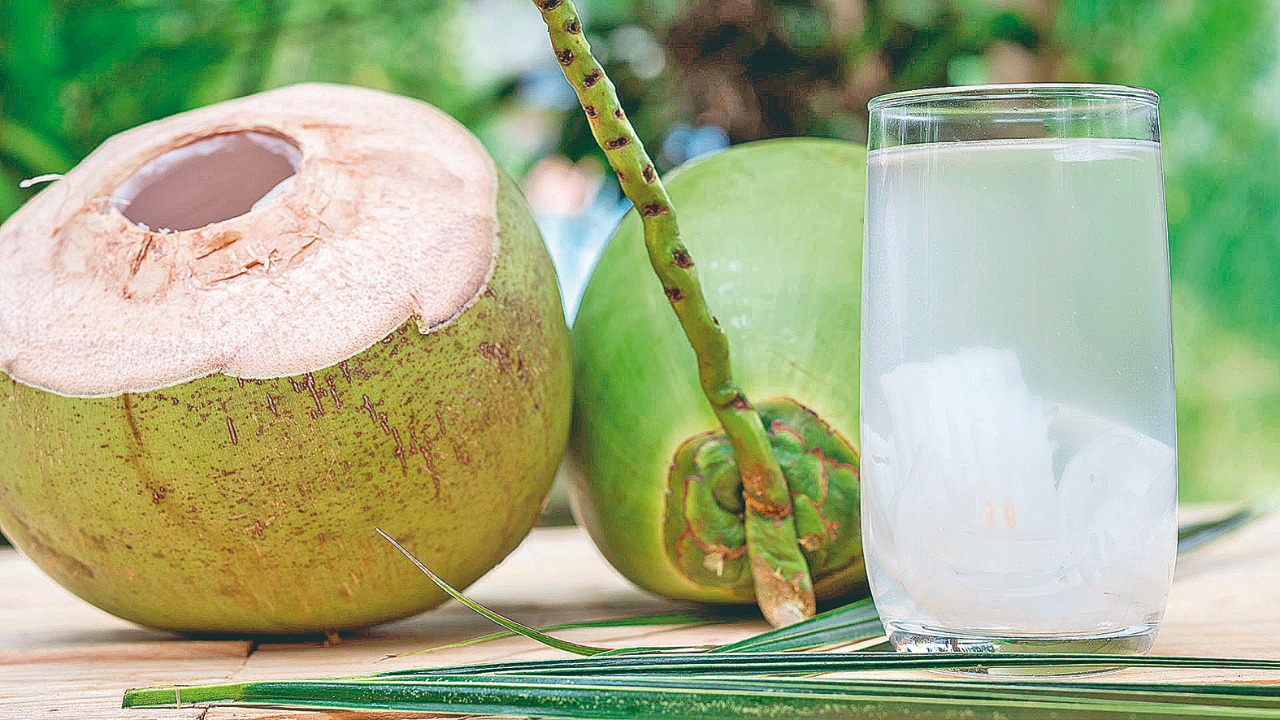 Água de coco: Benefícios para a sua saúde - Jornal O Estado MS Agua De Coco Para Aumentar Liquido Amniotico