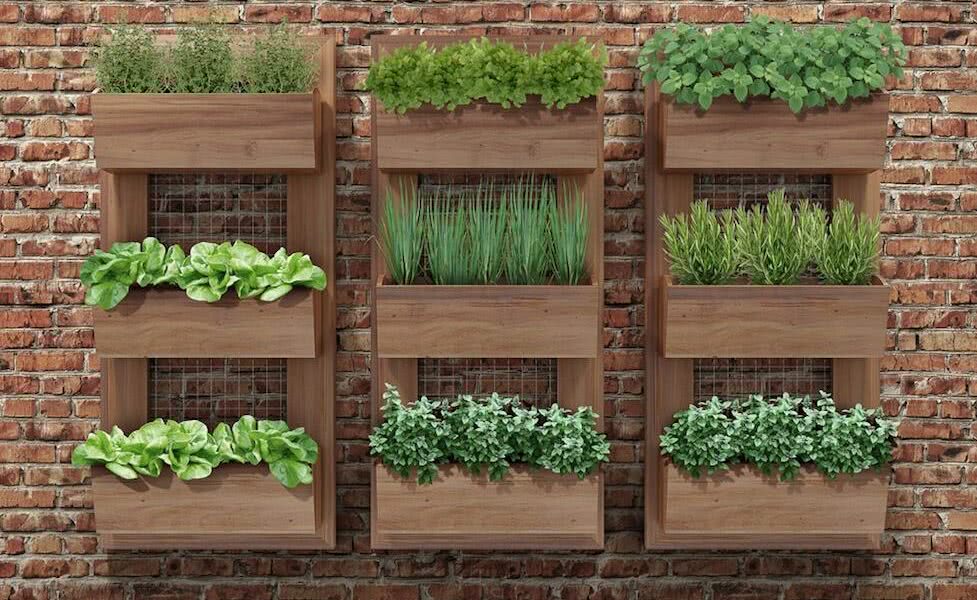 20160914imagem-6-1-977x600