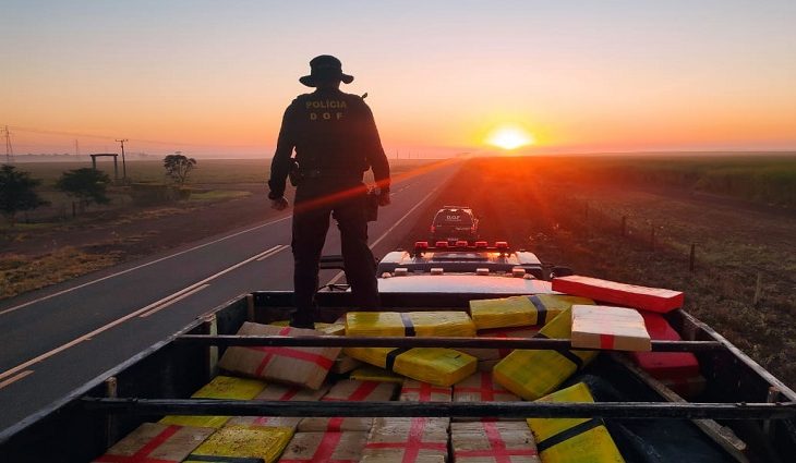 Maconha-apreendida-DOF-730x425