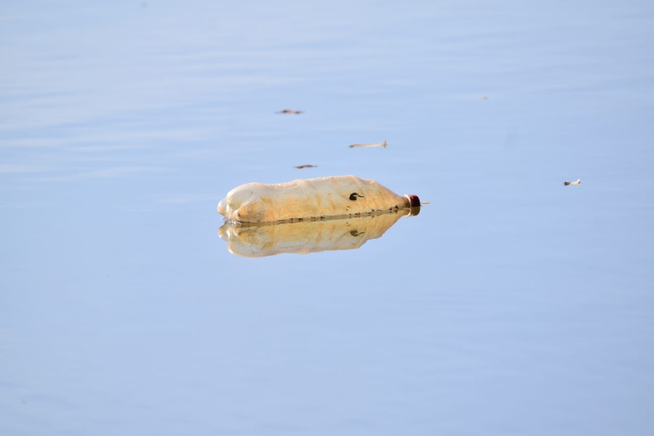 WhatsApp Image 2021-05-20 at 09.02.18