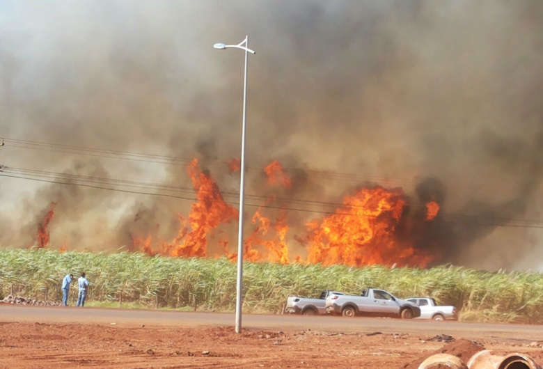 Reprodução/Dourados News