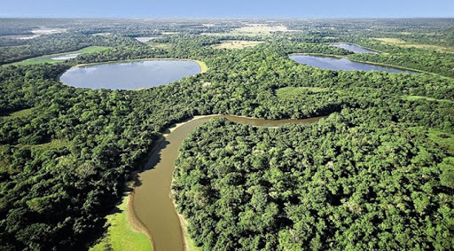 Crédito: Portal do MS