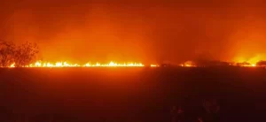 Avanço do incêndio no Pantanal prejudica o combate aéreo