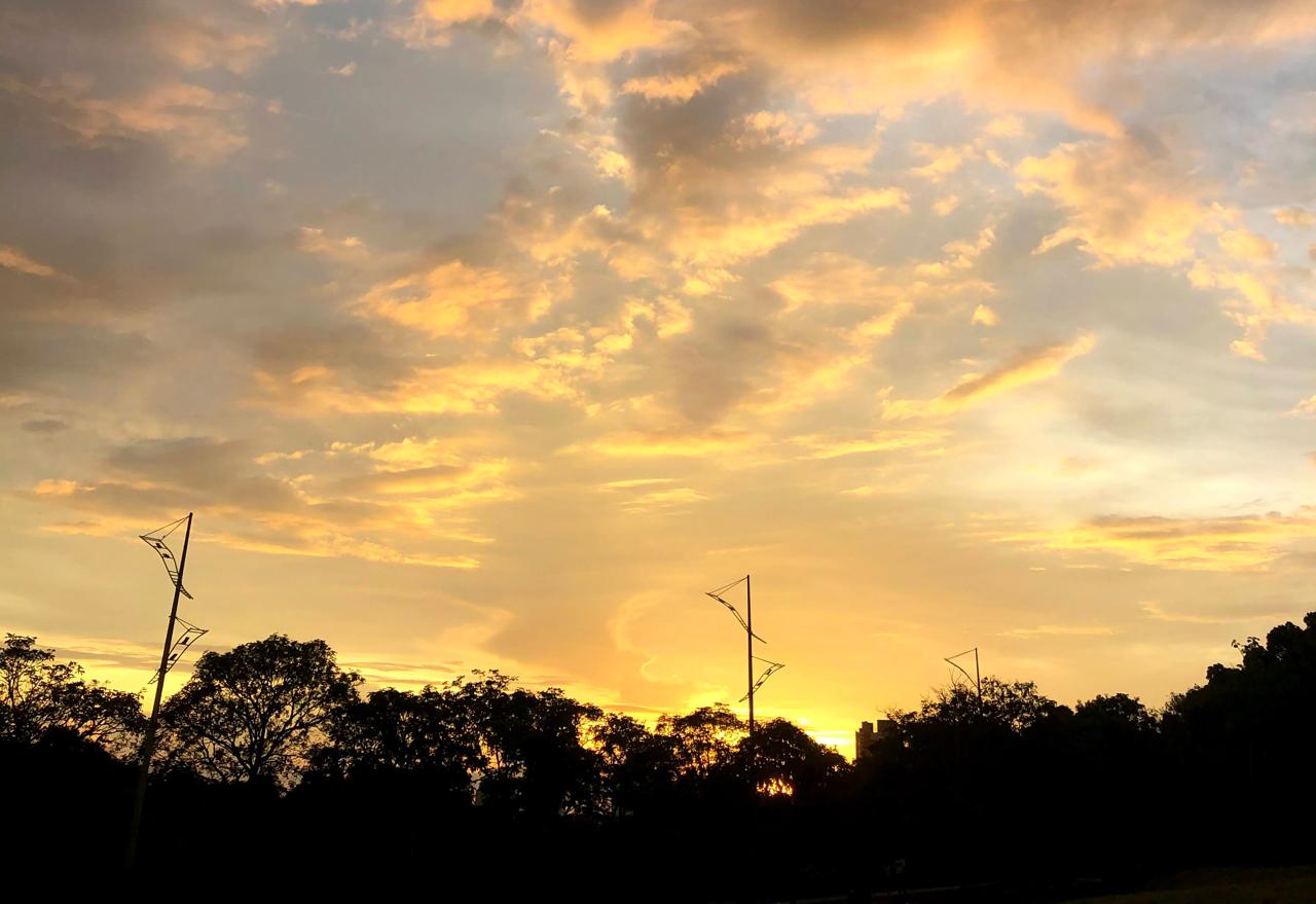 WhatsApp Image 2021-02-23 at 07.54.51