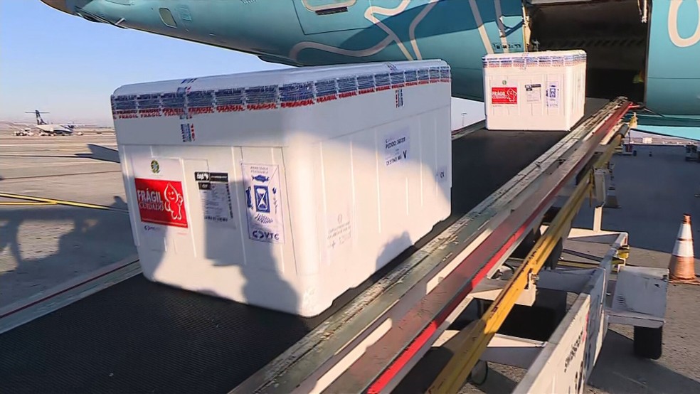 bdmg-acervo-20-07-05-45-frame-166958