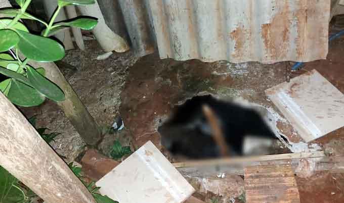 Corpo de Mulher em fossa