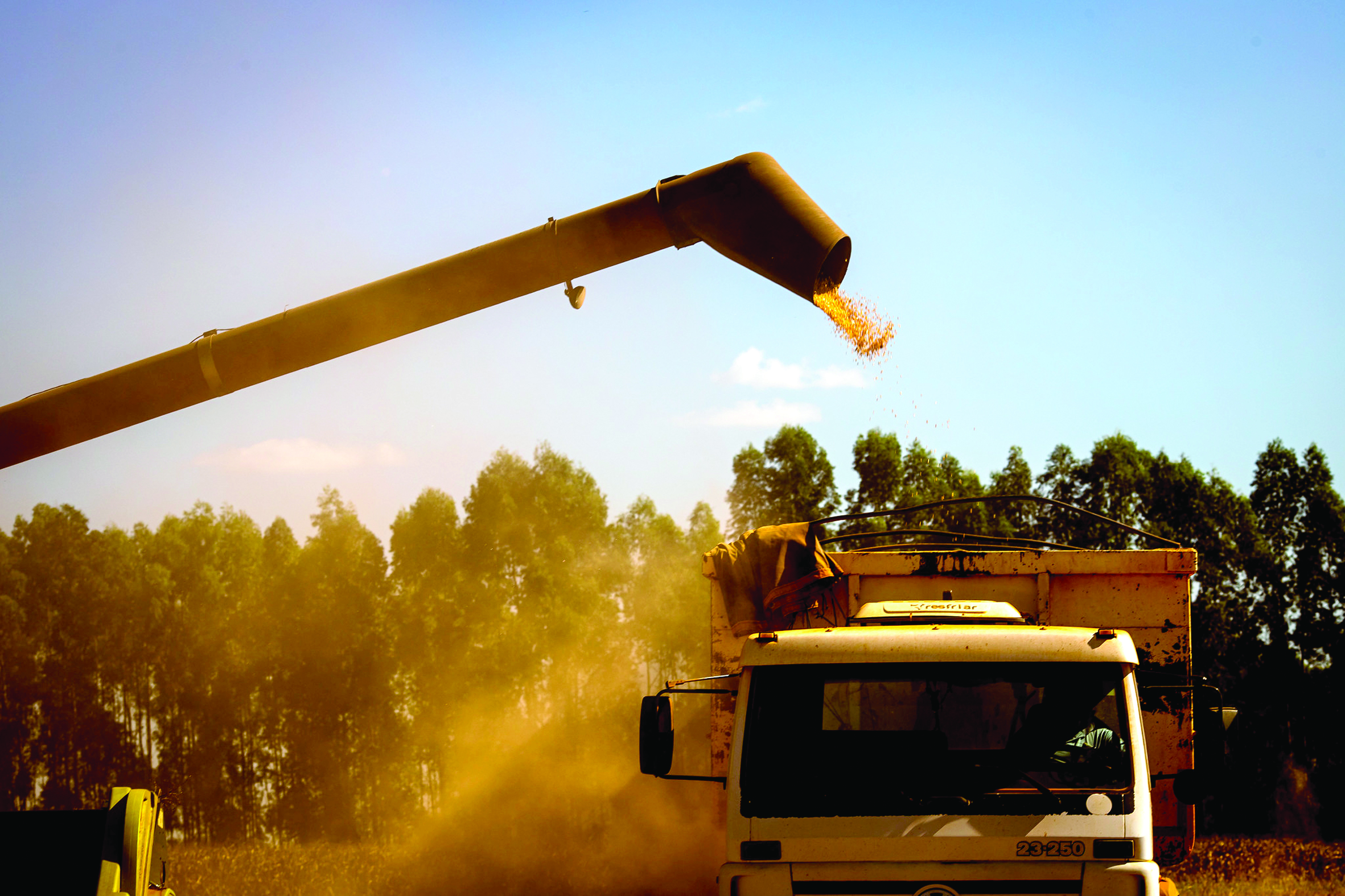 Governo suspende PIS/Cofins na importação de milho para desonerar custo do grão no país
