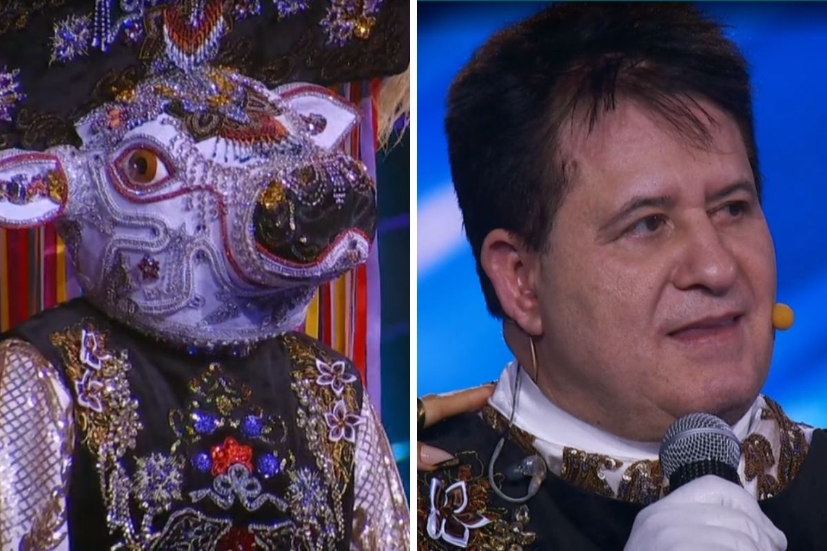 montagem-marrone-e-boi-bumba