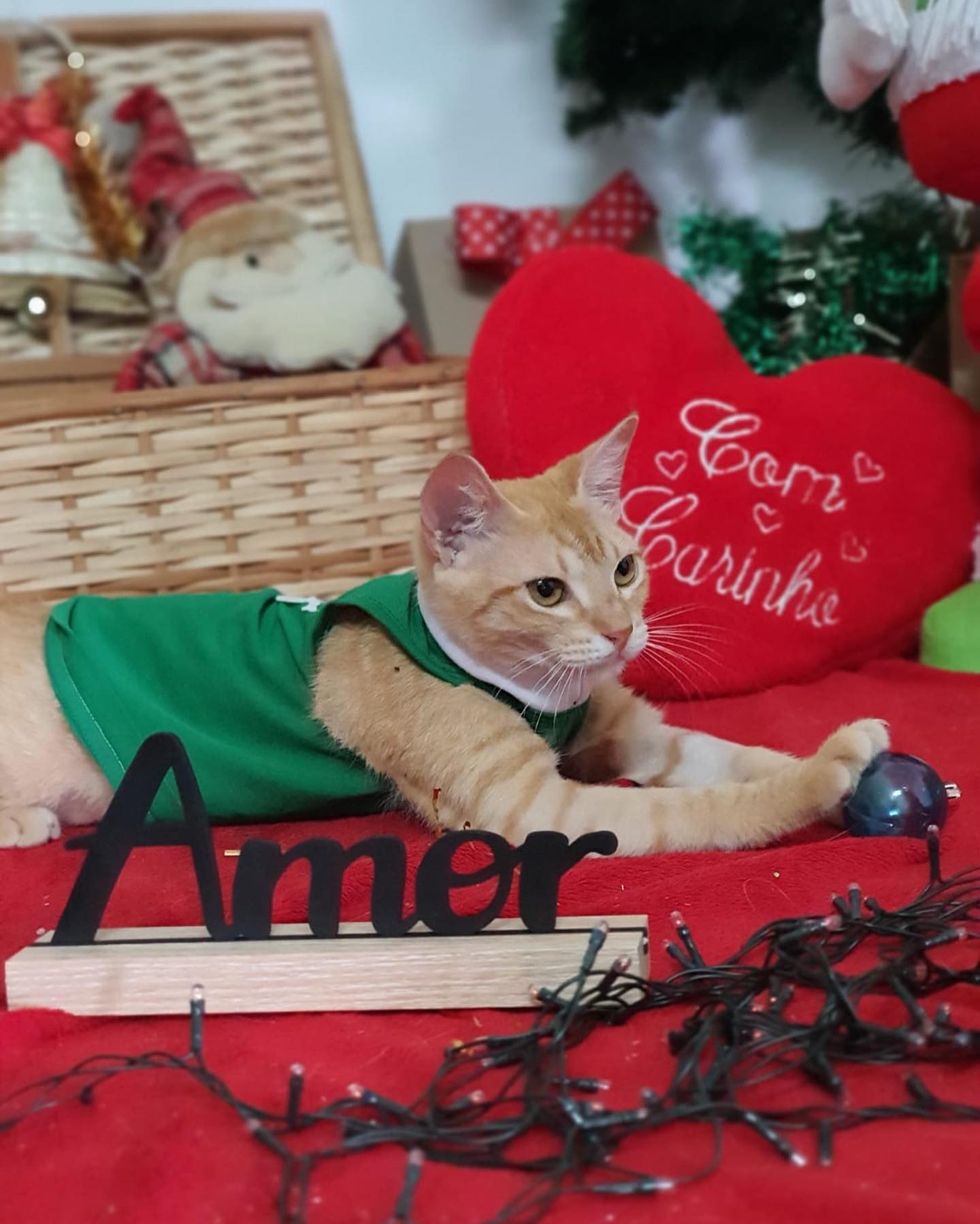 Reprodução/Facebook