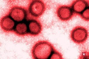 gripe influenza a h3n2 variante cepa darwin