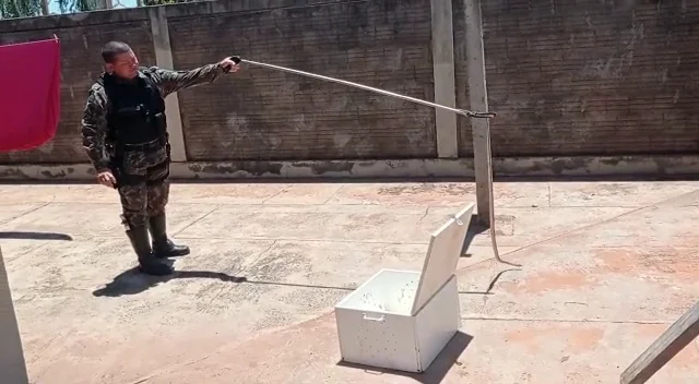 Foto: Divulgação PMMS