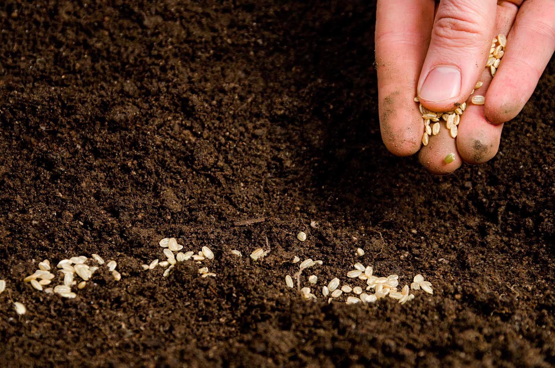 Reprodução/Agência Brasil