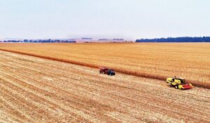 agronegocio safra graos trigo producao campo rural
