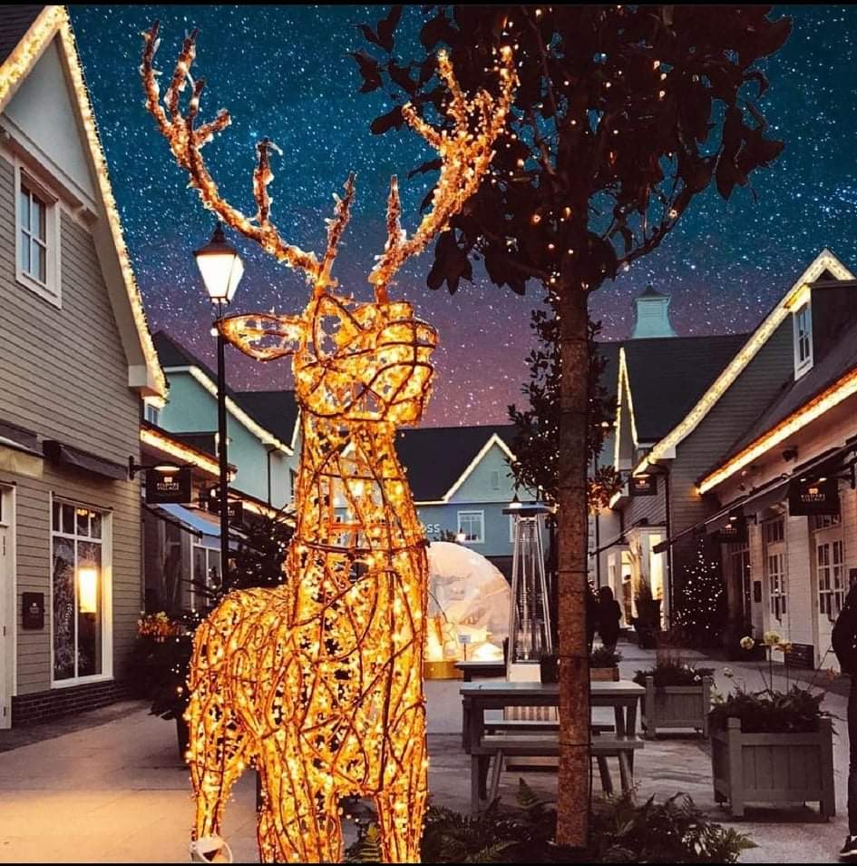 WhatsApp Image 2021-12-22 at 07.58.31