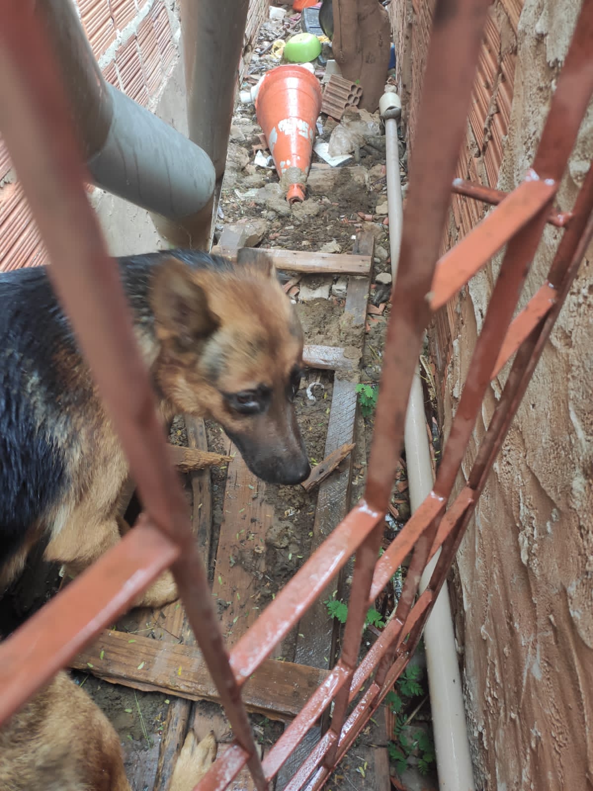 Foto: Divulgação Policia Civil