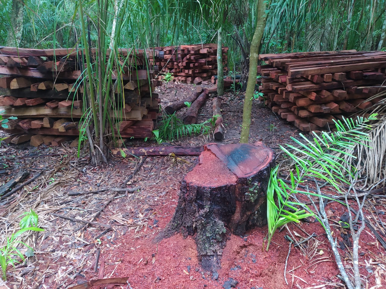 Foto: Divulgação PMMS