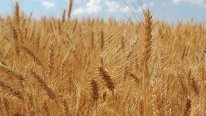 Reprodução/Agência Brasil