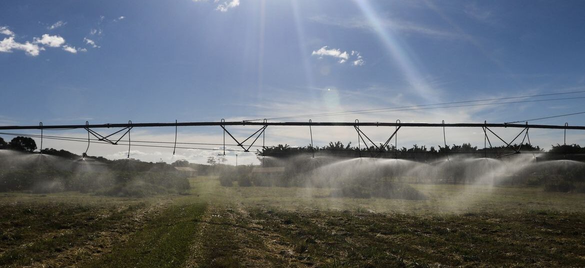 Campo e agricultura