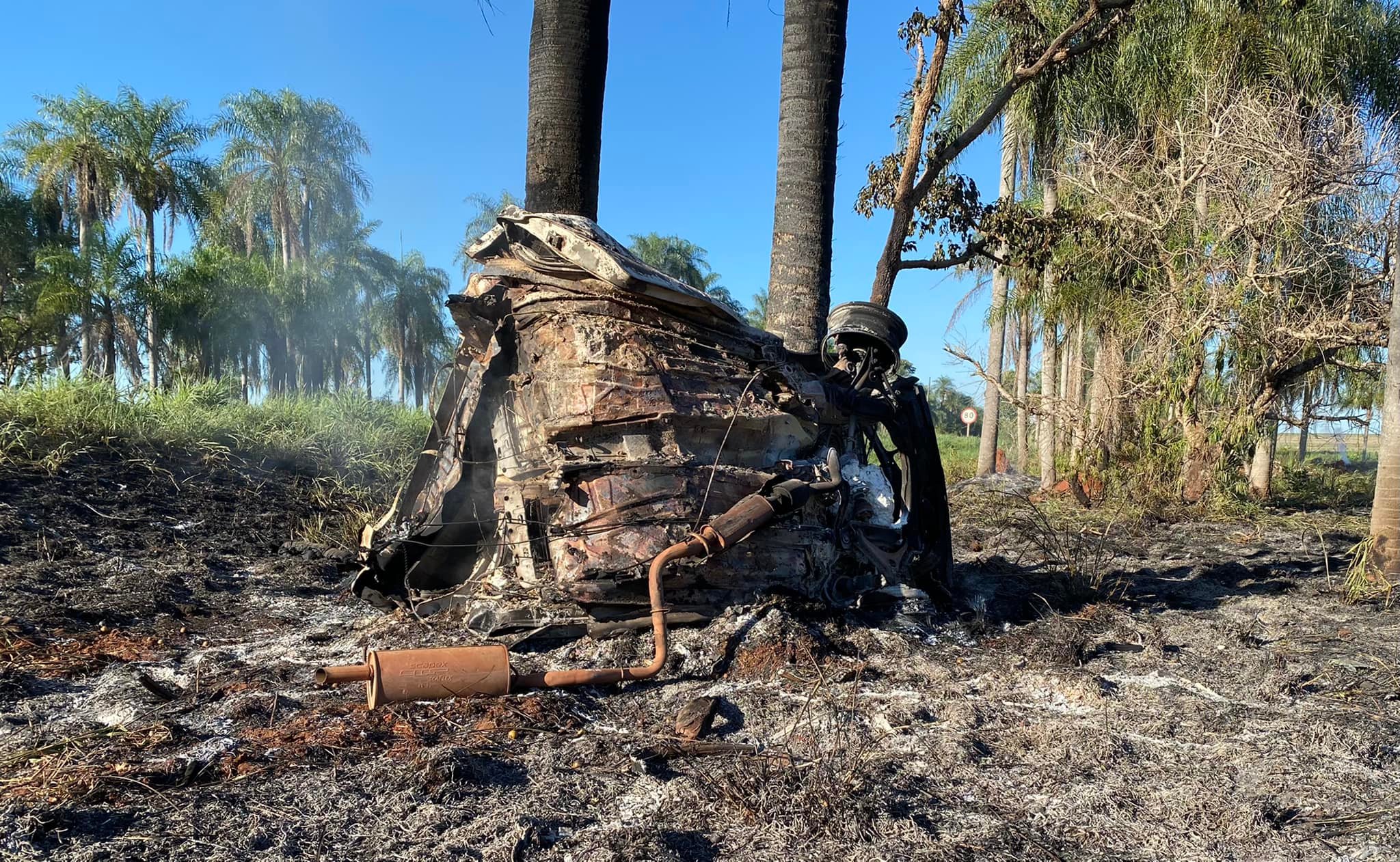 Foto: Reprodução/Jardim MS News