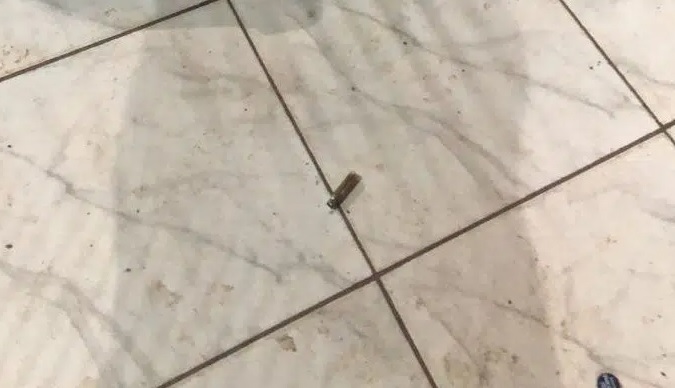 Foto: Reprodução/Ponta Porã News