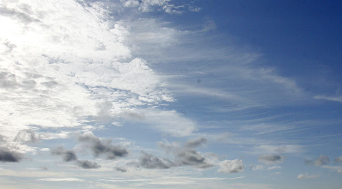 Crédito: Chico Ribeiro/Portal Ms