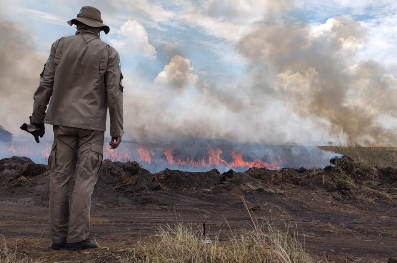 Divulgação/Bombeiros.ms.gov