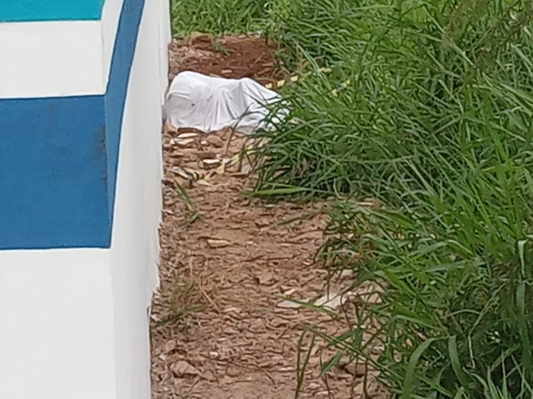 Foto: Itamar Buzzatta/ O Estado Online