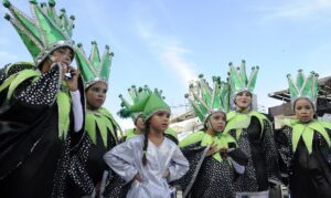 fantasias carnavalescas carnaval 2022 desfile escolas de samba