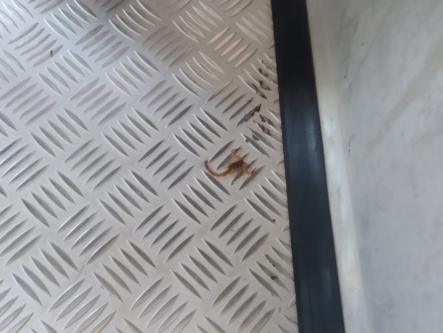 Reprodução/Redes Sociais