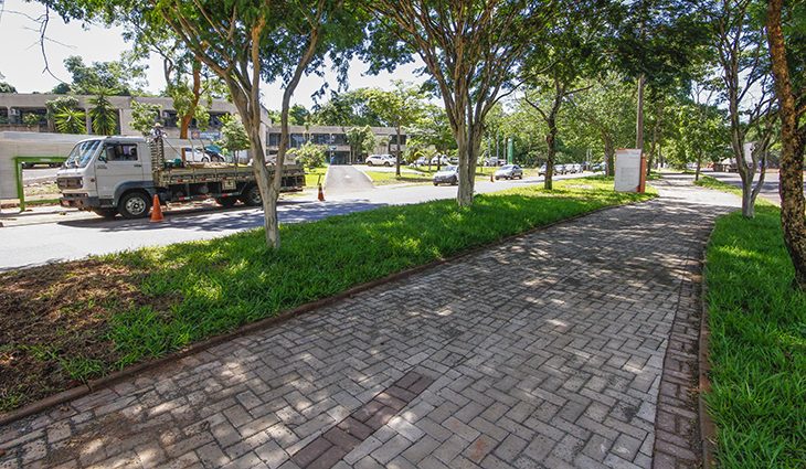 Imagem: Reprodução/Portal MS