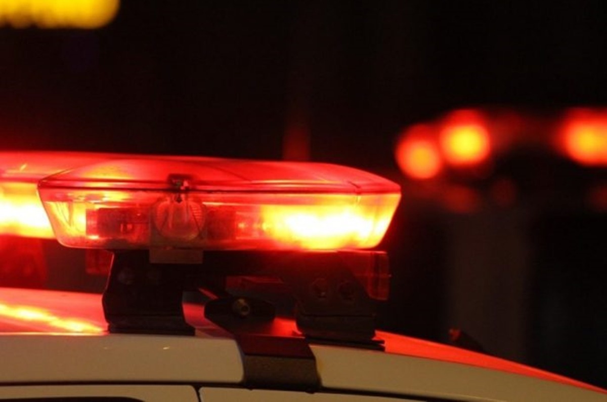 Crédito: divulgação