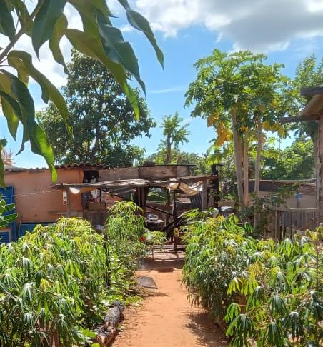 Divulgação/Itamar Buzzatta