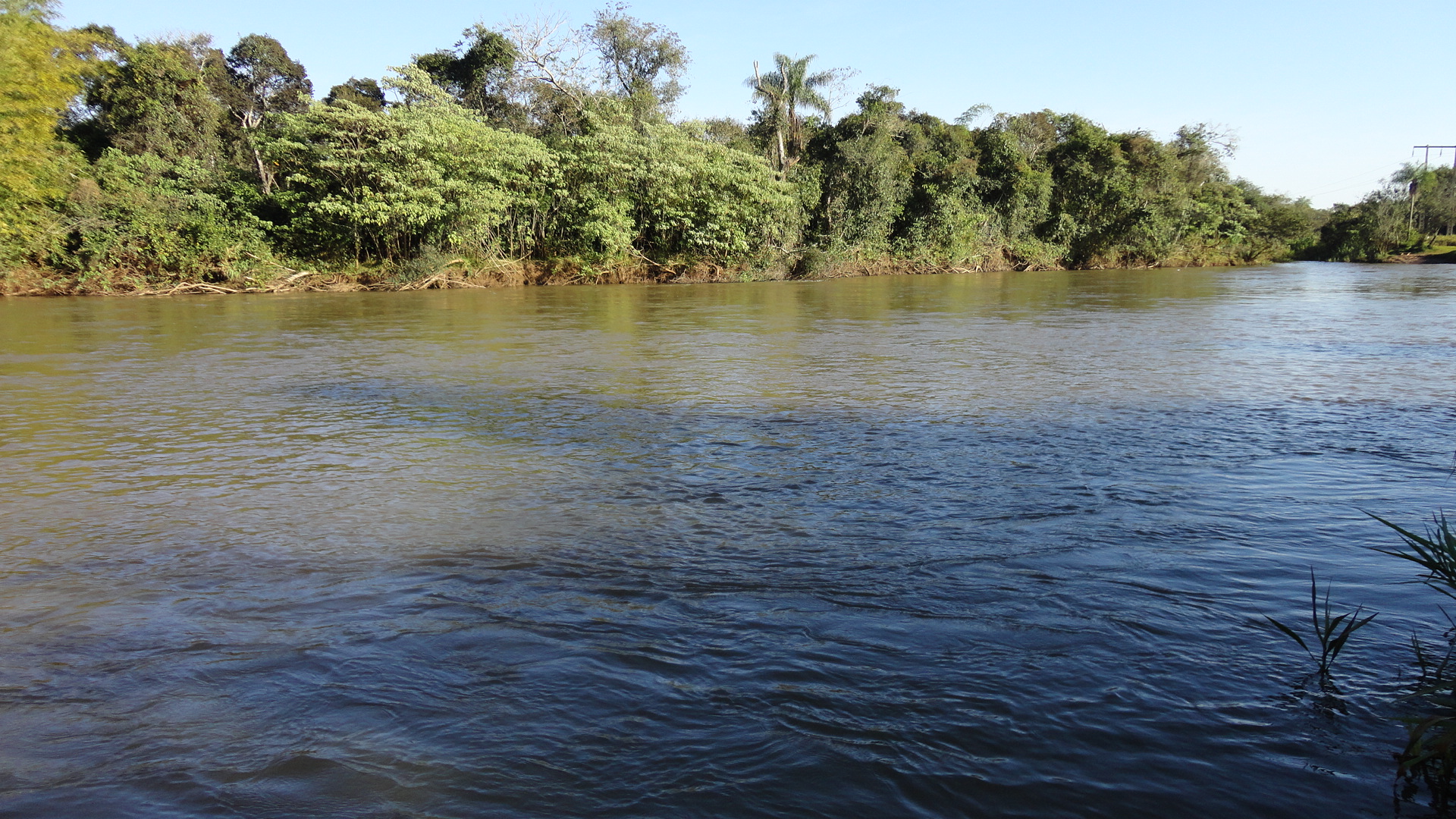 Reprodução/Embrapa