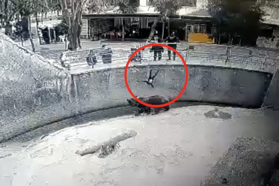 Reprodução/câmera de segurança