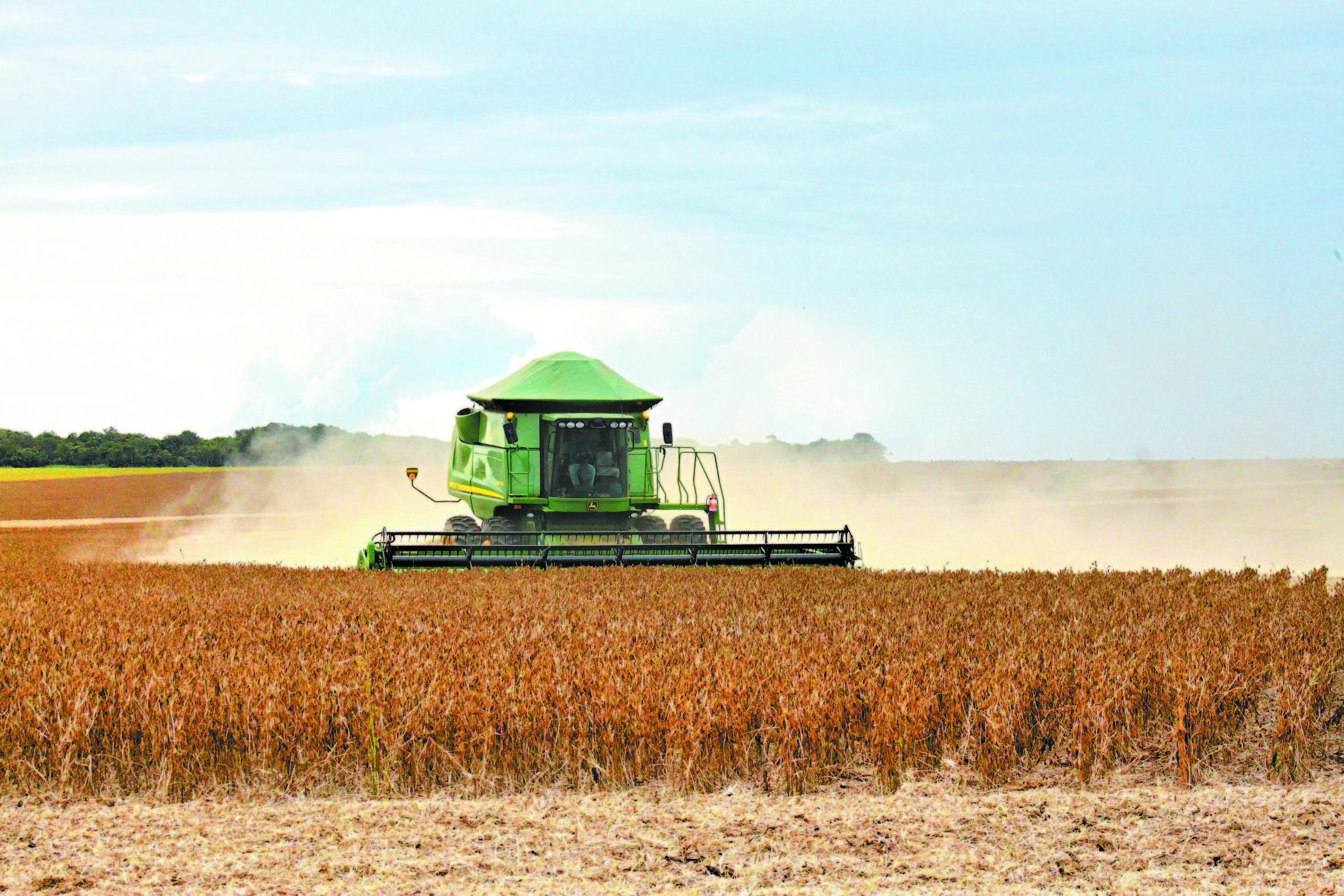 Foto: Mauro Zafalon/Folhapress