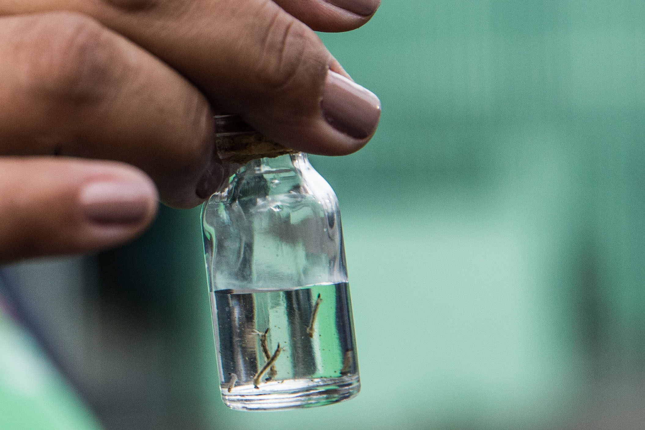 Foto: Danilo Verpa/Folhapress