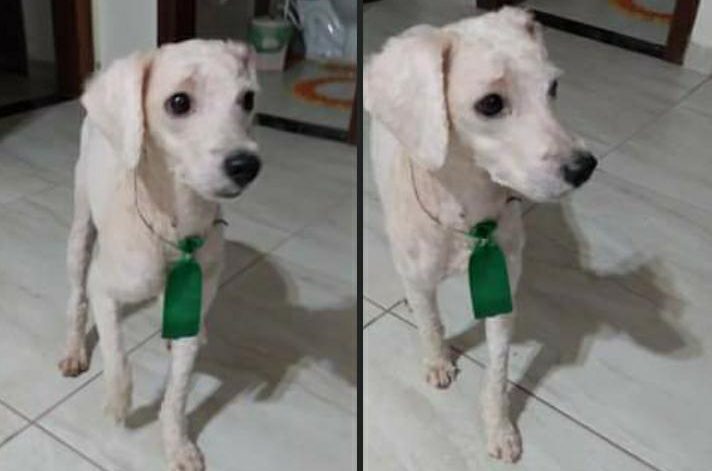 Foto: Arquivo Pessoal