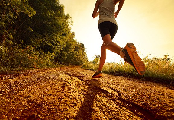Foto: Reprodução/ Governo SNS