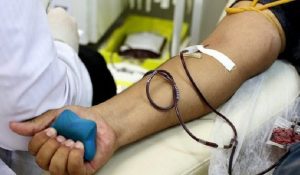 doacao sangue bolsa estoque hemosul hemorrede