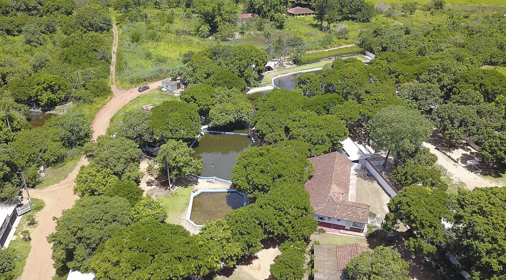 Obras de pavimentação