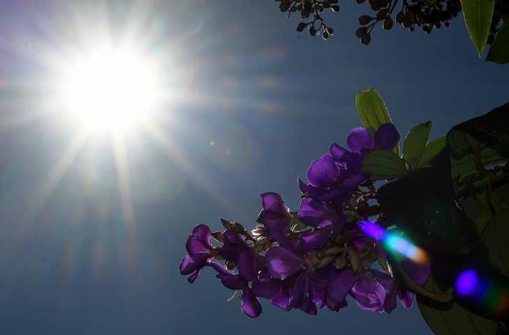Previsão indica tempo estável e predomínio de Sol nesta quinta-feira em MS