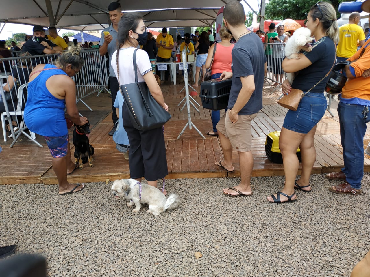 Foto: Itamar Buzzatta/O Estado Online