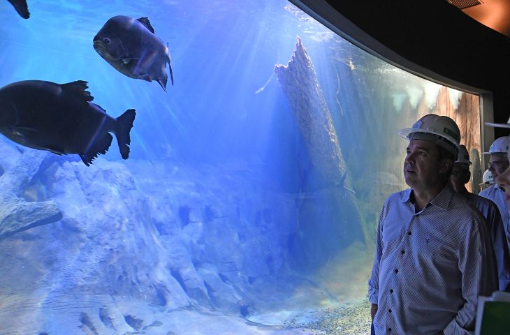 Fotos: Bruno Rezende/Portal MS