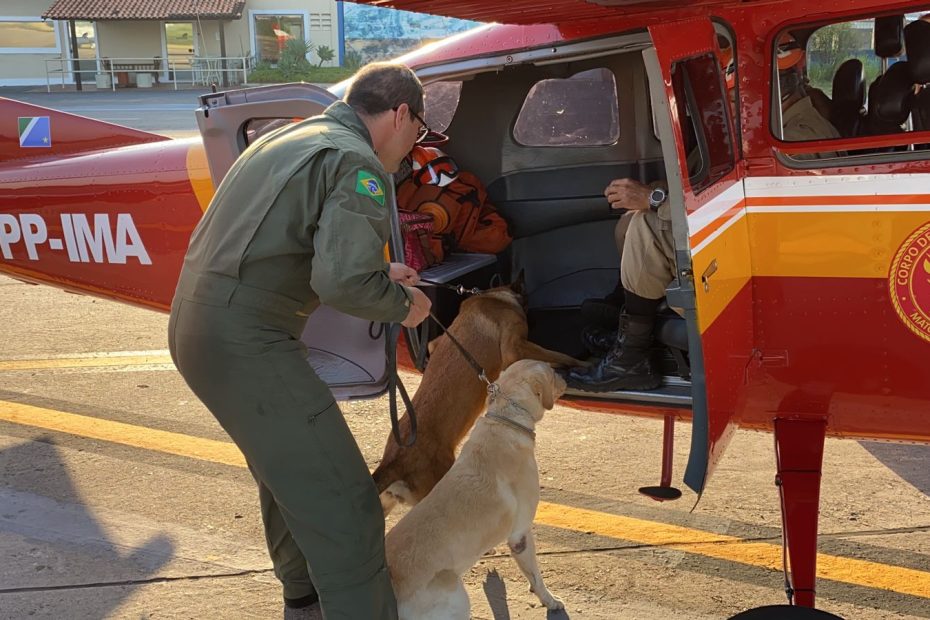 Bombeiros e cães militares