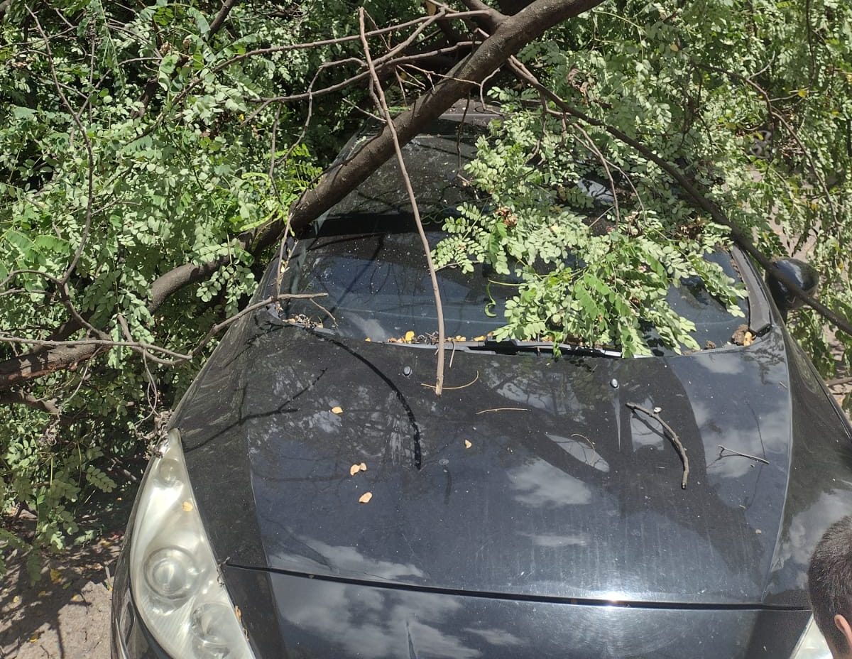 Divulgação/Corpo de Bombeiros