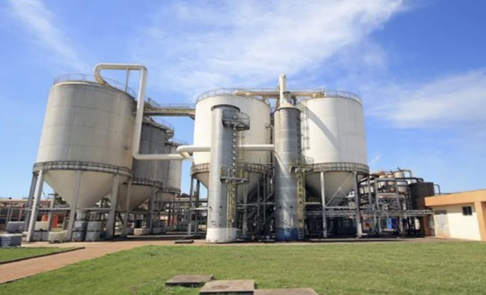 Foto: Assessoria / Semagro