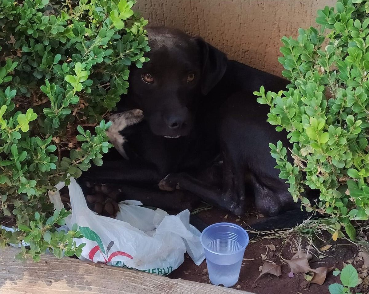 Foto: Divulgação/Arquivo Pessoal