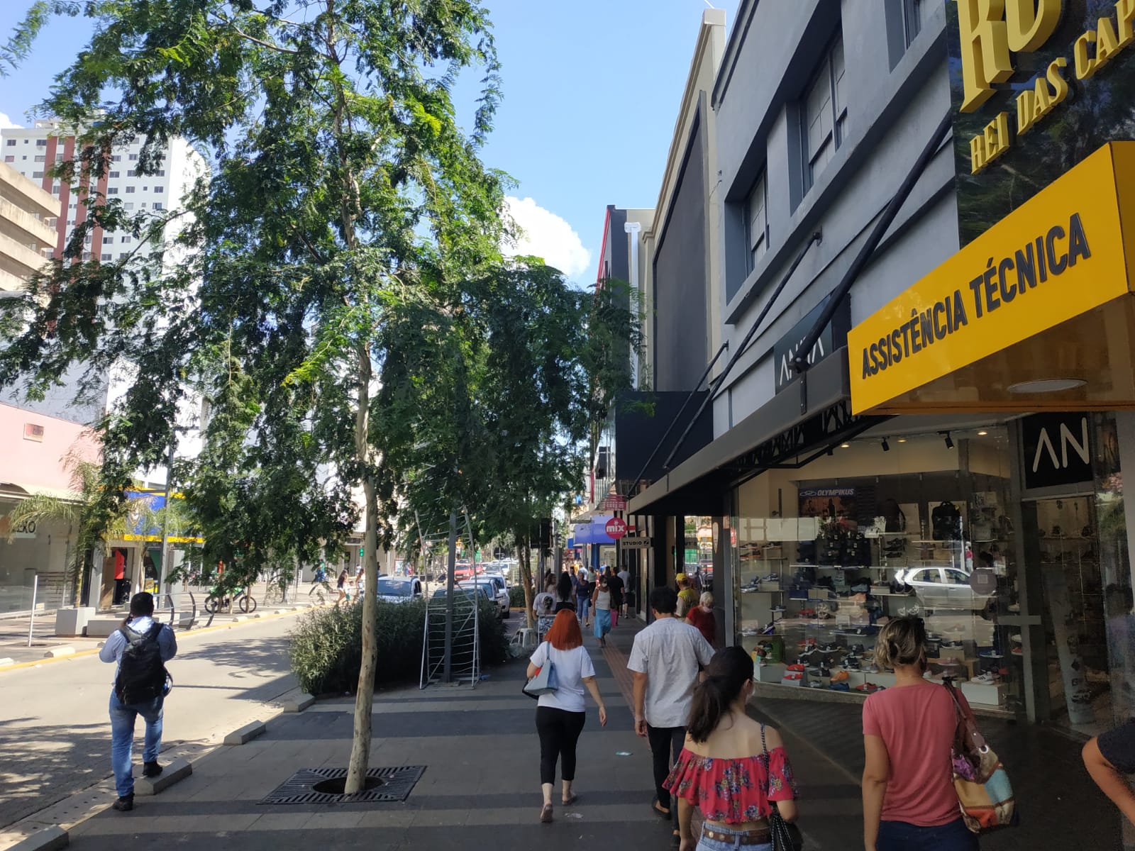 Foto: Jornal O Estado MS