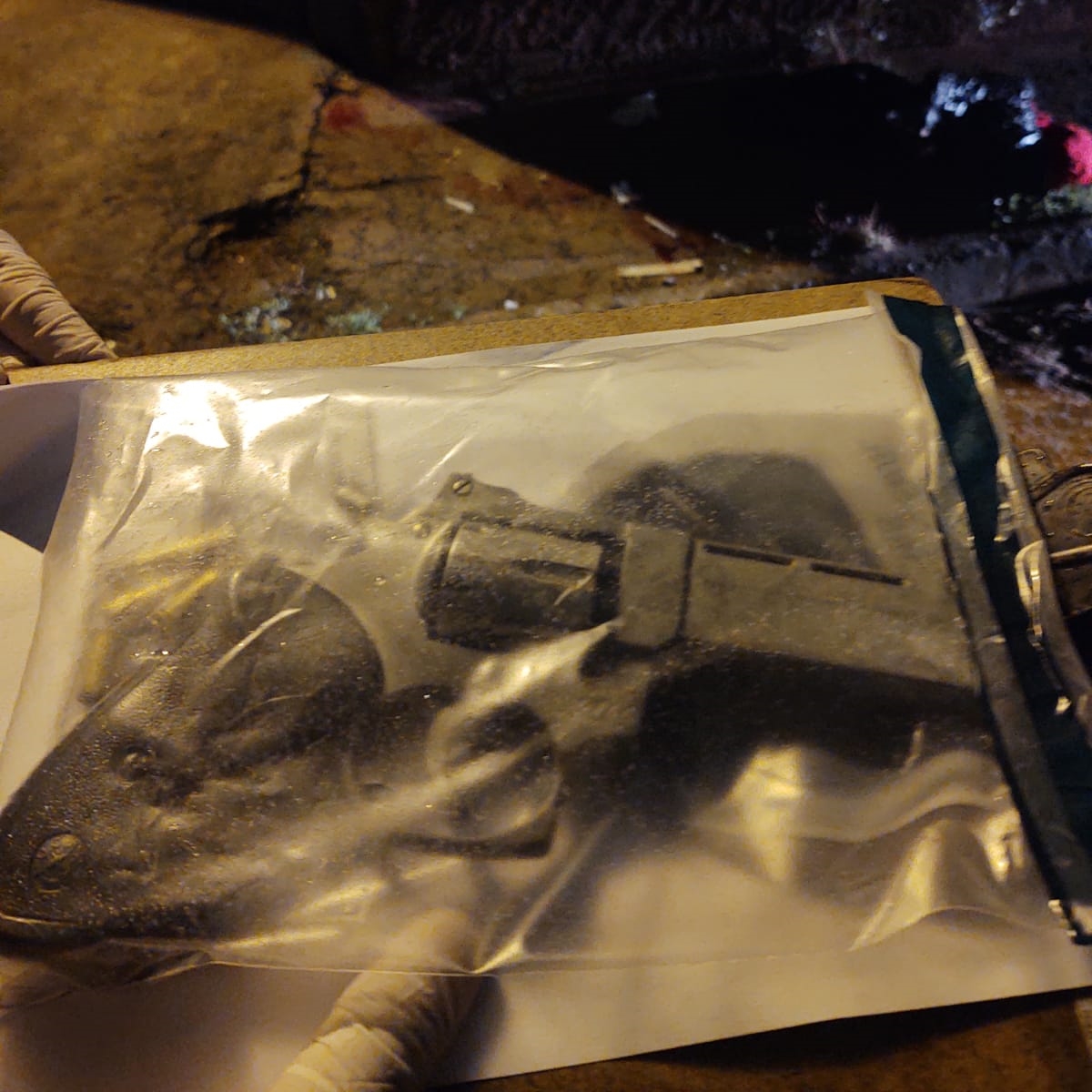 Foto: Divulgação/PMMS