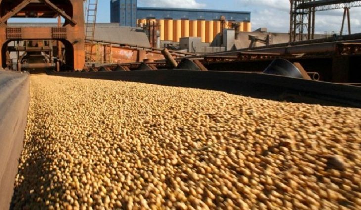 Celulosa assume liderança nas exportações e amplia superávit comercial de MS em 2025